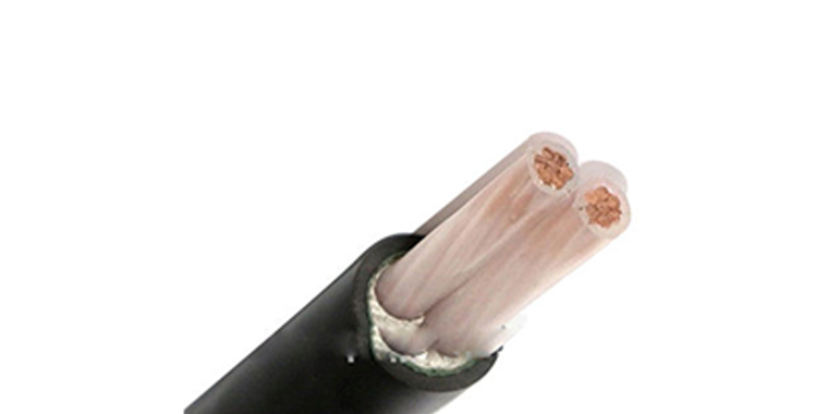 2 core XLPE cable